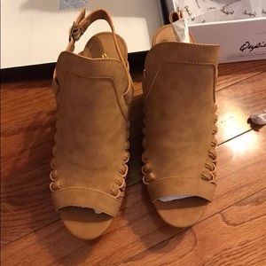 Lizard Thicket Wedges